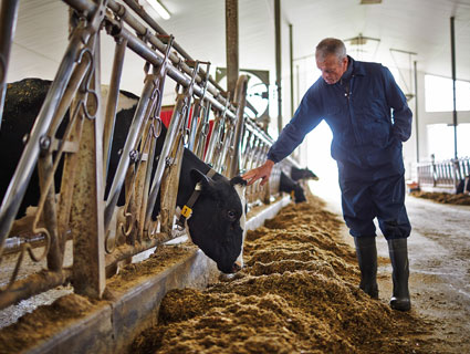 Animal Nutrition | Cargill Philippines